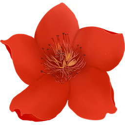 小红花直播音效助手